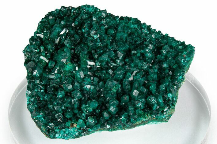 Lustrous Emerald-Green Dioptase Crystal Cluster - Congo #348540